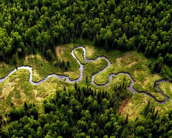 Amur