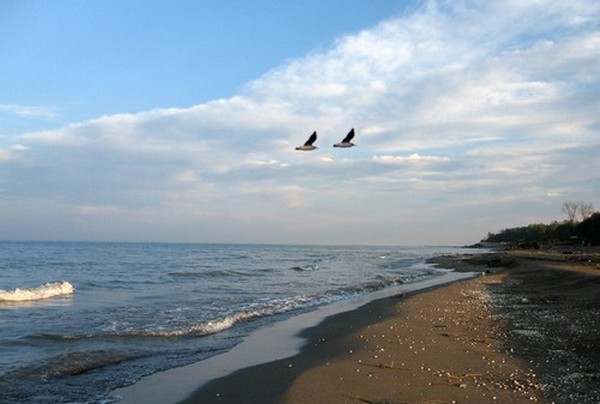 Caspian Sea