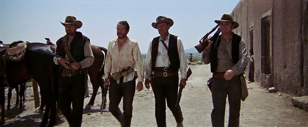 the-wild-bunch